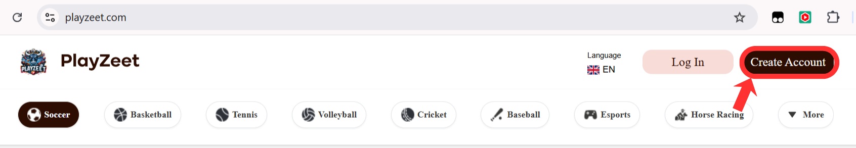 how to win at online peer to peer betting using Playzeet